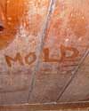 The word mold written with a finger on a moldy wood wall in Parkville