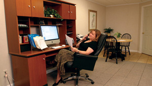 enjoy your new basement home office in Owings Mills, PA, DE, and MD