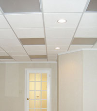 Basement Ceiling Tiles for a project we worked on in Owings Mills, Pennsylvania, Delaware, and Maryland