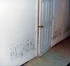 Damaged Drywall