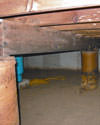 Mold Damage in the Crawl Space