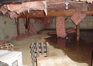 fiberglass insulation dripping off the ceiling of a crawl space in Gwynn Oak.
