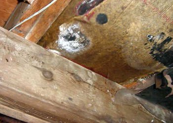 home mold removal in Owings Mills