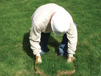 Restoring the landscaping by replacing removed lawn sections for a Parkville home.