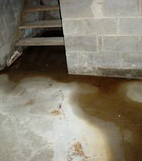 Flooding floor cracks by a hatchway door in Hockessin, Berwyn, Chadds Ford