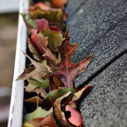 Clogged gutters filled with fall leaves  in Landenberg