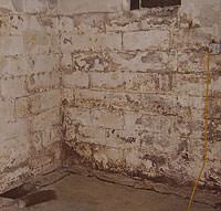 Peeling, Chipping, Basement Wall Coatings in Chester Springs