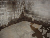 flooded basement with leaky basement walls in Phoenix, PA, DE, and MD
