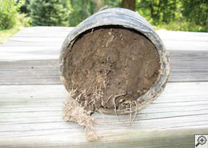 clogged french drain found in Hockessin, Berwyn, Chadds Ford, Pennsylvania, Delaware, and Maryland