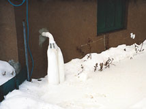 IceGuard® Installed Wilmington